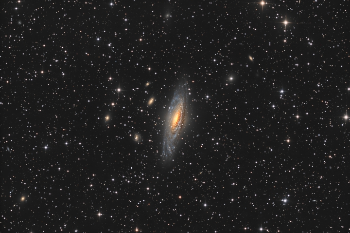 NGC7331